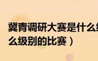 冀青调研大赛是什么级别的比赛（major是什么级别的比赛）