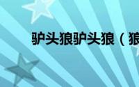 驴头狼驴头狼（狼头驴是什么动物）