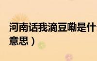 河南话我滴豆嘞是什么意思（河南话sao是啥意思）