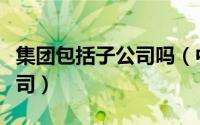 集团包括子公司吗（中电装备集团包括哪些公司）