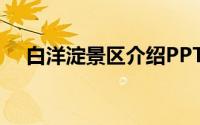 白洋淀景区介绍PPT（白洋淀景区介绍）