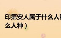印第安人属于什么人种肤色（印第安人属于什么人种）