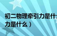 初二物理牵引力是什么（八年级下册物理牵引力是什么）