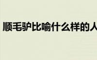 顺毛驴比喻什么样的人（什么是顺毛驴性格）