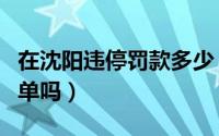在沈阳违停罚款多少（沈阳违停可以直接开罚单吗）