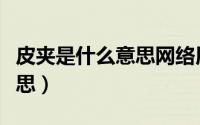 皮夹是什么意思网络用语（方言皮夹是什么意思）