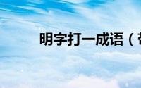 明字打一成语（带有明字的成语）
