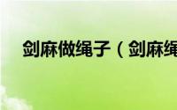 剑麻做绳子（剑麻绳还可以用什么代替）