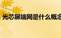 光芯屏端网是什么概念（40g网是什么概念）