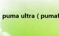 puma ultra（pumafuture和ultra哪个好）