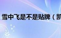 雪中飞是不是贴牌（凯慕狮和雪中飞哪个好）
