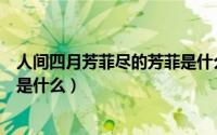 人间四月芳菲尽的芳菲是什么意思（人间四月芳菲尽的意思是什么）
