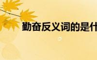 勤奋反义词的是什么（勤奋反义词）
