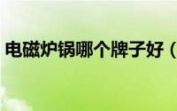 电磁炉锅哪个牌子好（电磁炉用什么锅最好）