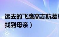 远去的飞鹰高志航葛莉儿（远去的飞鹰高丽良找到母亲）