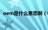 oem是什么意思啊（归家心切是什么意思）