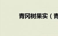 青冈树果实（青冈树能不能种）