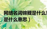 网络名词锦鲤是什么意思（最近网络词语锦鲤是什么意思）