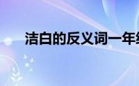 洁白的反义词一年级（洁白的反义词）