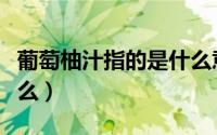 葡萄柚汁指的是什么意思（葡萄柚汁指的是什么）