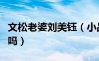 文松老婆刘美钰（小品戒杠女演员是文松老婆吗）