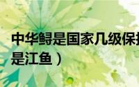 中华鲟是国家几级保护动物（中华鲟是海鱼还是江鱼）
