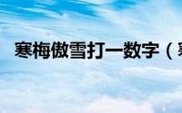 寒梅傲雪打一数字（寒梅傲立雪中的意思）