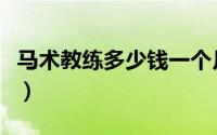 马术教练多少钱一个月（马术教练前景怎么样）