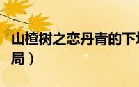 山楂树之恋丹青的下场（山楂树之恋丹青的结局）