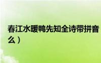 春江水暖鸭先知全诗带拼音（春江水暖鸭先知全诗意思是什么）