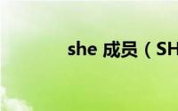 she 成员（SHE有哪些成员）