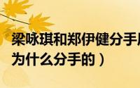梁咏琪和郑伊健分手原因（梁咏琪郑伊健是因为什么分手的）