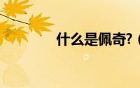 什么是佩奇?（什么是佩奇）