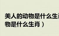 美人的动物是什么生肖请回答一个（美人的动物是什么生肖）