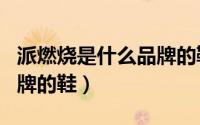 派燃烧是什么品牌的鞋（benchifan是什么品牌的鞋）