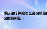 重庆医疗保险怎么查询单位缴费明细（重庆医疗保险怎么查询缴费明细）