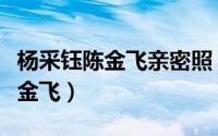 杨采钰陈金飞亲密照（杨采钰为啥愿意嫁给陈金飞）