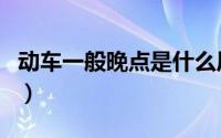 动车一般晚点是什么原因（动车一般会晚点吗）