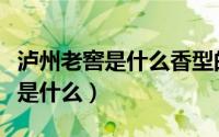 泸州老窖是什么香型的酒（泸州老窖的广告语是什么）