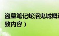 盗墓笔记蛇沼鬼城概述（盗墓笔记蛇沼鬼城大致内容）