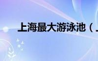 上海最大游泳池（上海最大游轮排名）