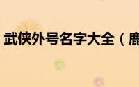 武侠外号名字大全（鹿鼎记中洪西范的外号）