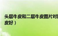 头层牛皮和二层牛皮图片对比（鞋子头层牛皮好还是二层牛皮好）