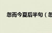 忽而今夏后半句（忽而今夏是什么意思）