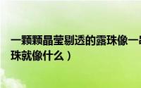 一颗颗晶莹剔透的露珠像一串精美的项链（一颗晶莹的小露珠就像什么）
