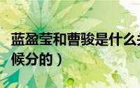 蓝盈莹和曹骏是什么关系（蓝盈莹曹骏什么时候分的）