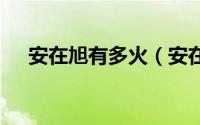 安在旭有多火（安在旭是不是hot成员）