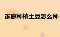 家庭种植土豆怎么种（家庭种植土要多厚）