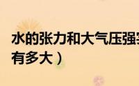 水的张力和大气压强实验原理理解（水的张力有多大）