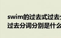 swim的过去式过去分词（swim的过去式和过去分词分别是什么）